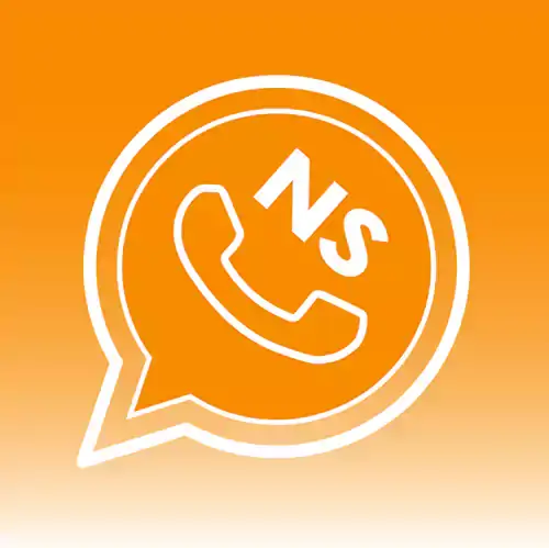 NS WhatsApp Gold Logo Webp
