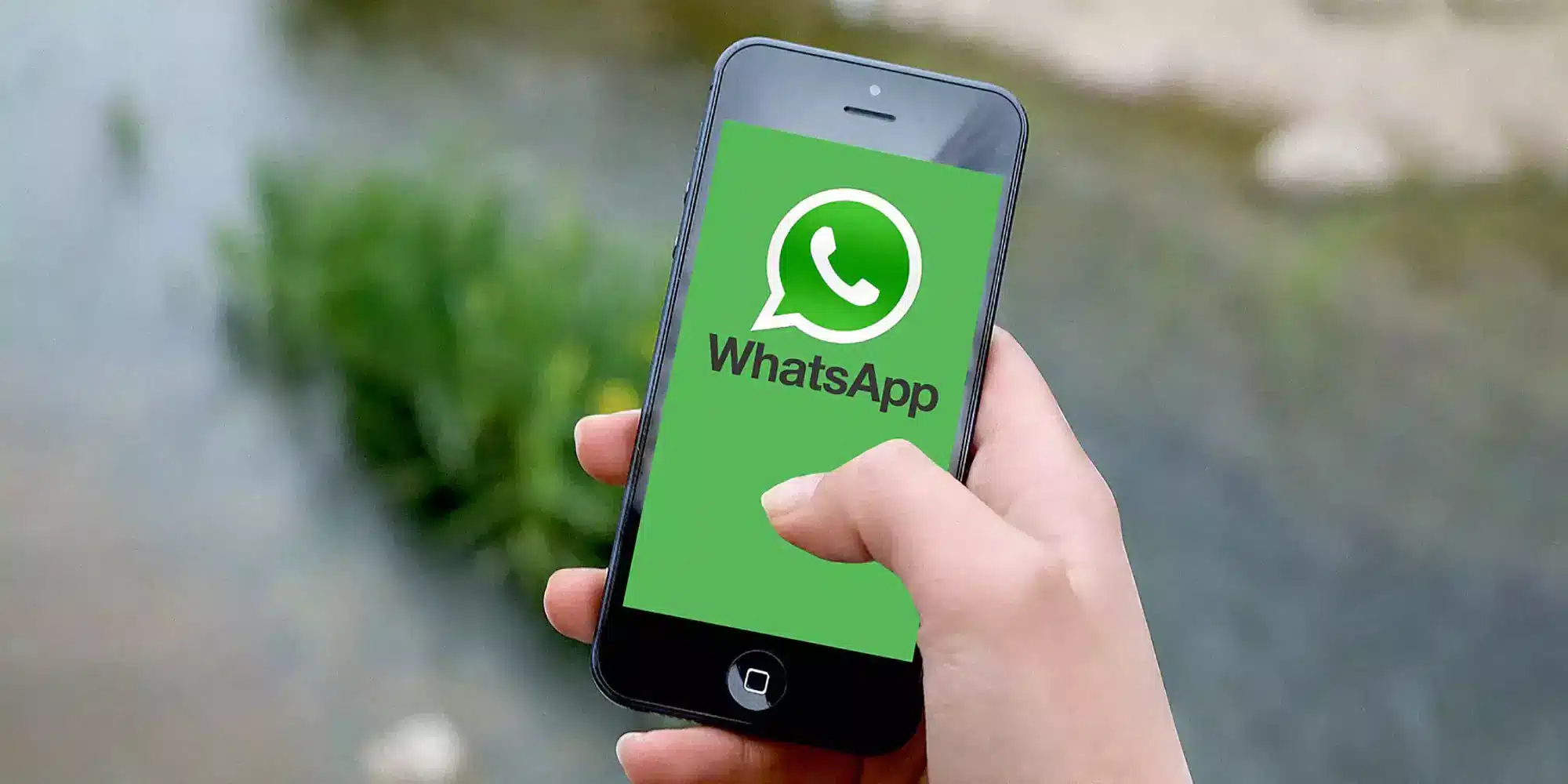 WhatsApp Screen Sharing