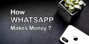 How WhatsApp Makes Money?