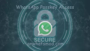 Enhances Security with WhatsApp Passkey Access